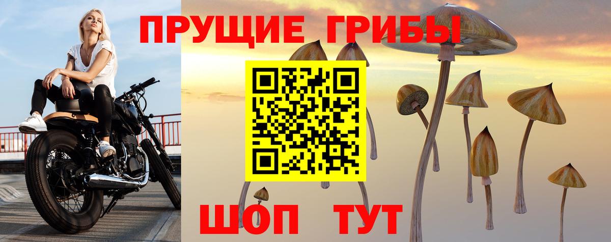 Новошахтинск  Псилоцибиновые грибы Magic Shrooms  Вход с VPN 